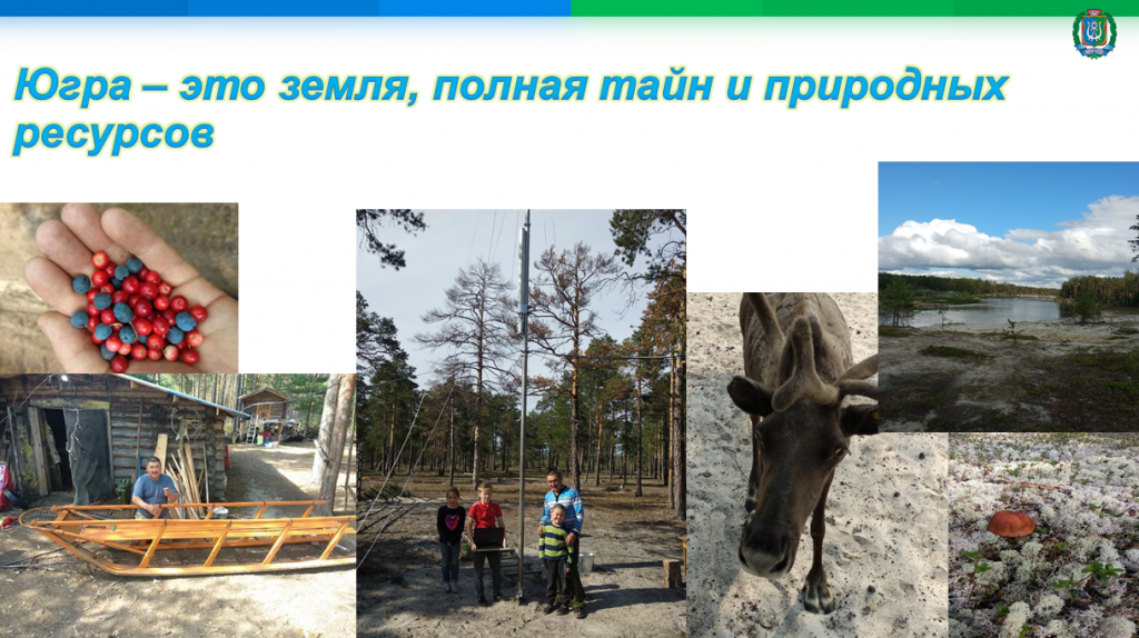 21.webp 21.webp